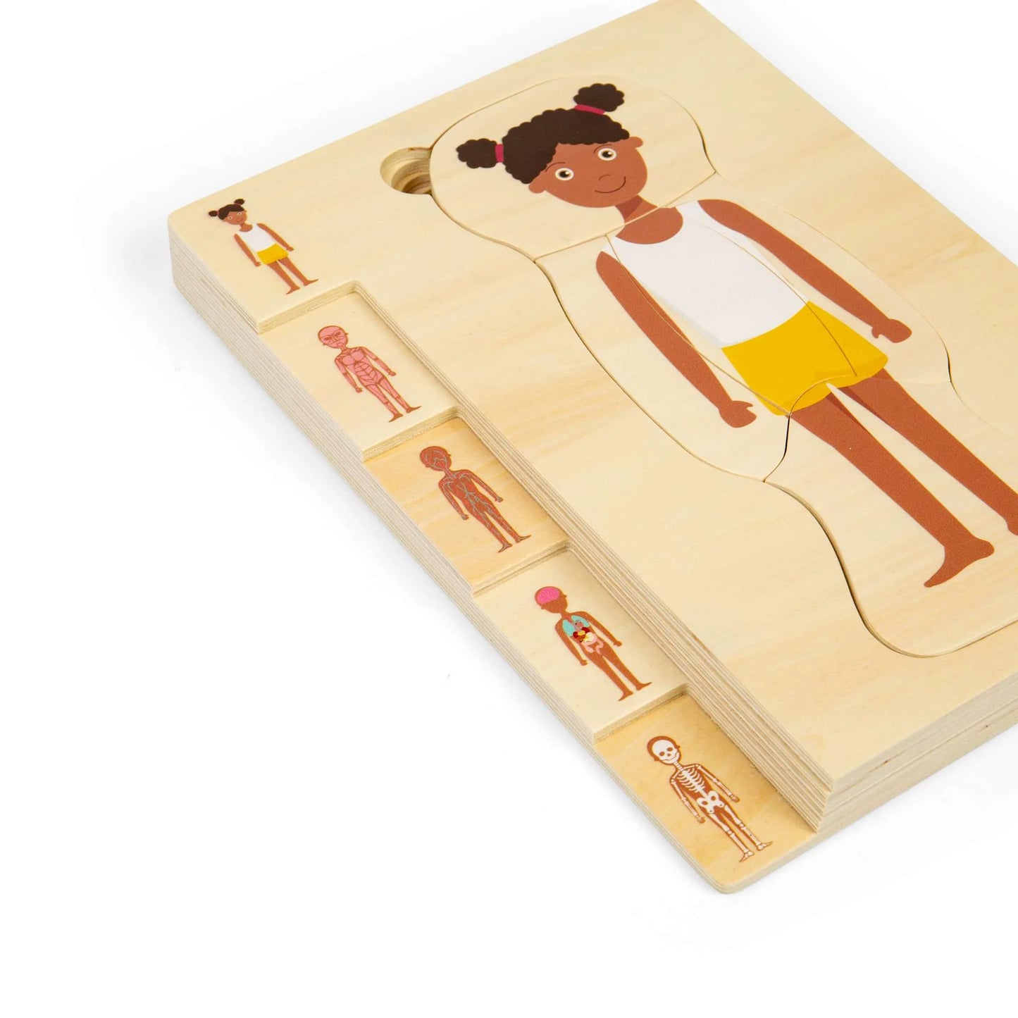 Rompecabezas de anatomía - Niña