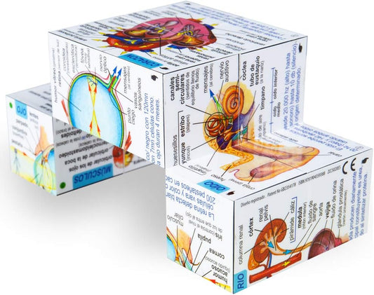 Cubo - cuerpo humano