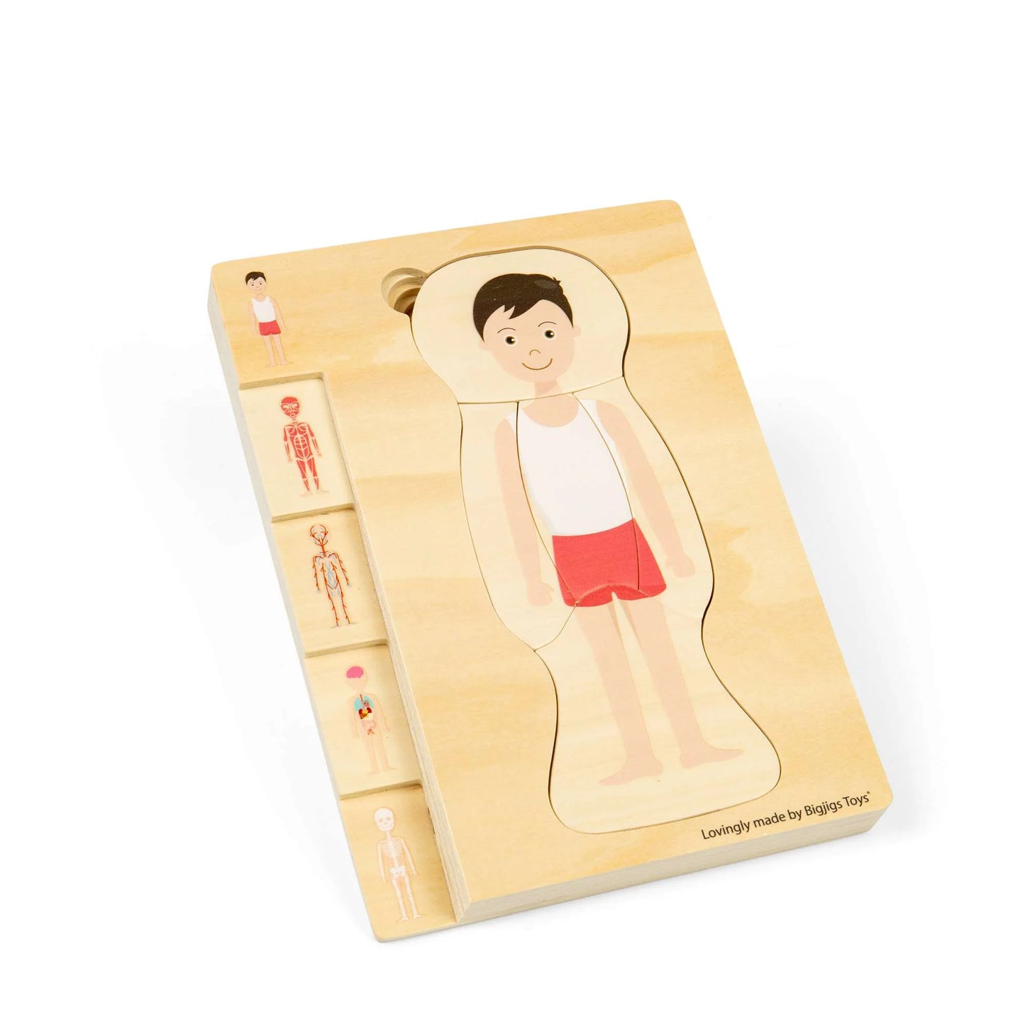 Rompecabezas de anatomía – Niño