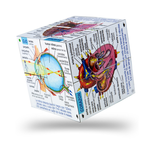 Cubo - cuerpo humano