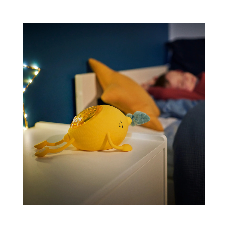 Luz nocturna de proyección de albahaca