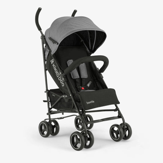 Paraguitas Beetle gris