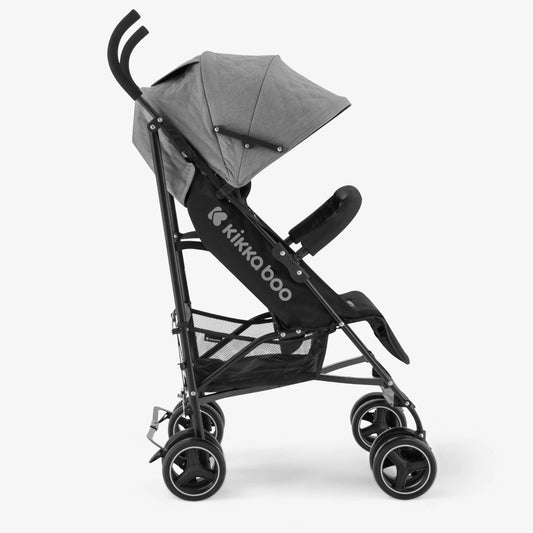 Paraguitas Beetle gris